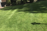 Another Lawn in Frodsham after Spring Treatment