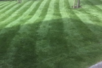Cheshire lawn following Lawnsavers treatment
