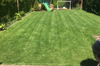 Lawn in Frodsham after Spring Treatment