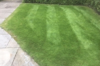 Lawn looking much better after Lawnsavers treatment