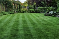 Lawn receiving regular lawn treatment in Runcorn