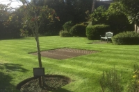 Now that's a beautiful lawn
