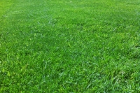 Great improvement following treatment