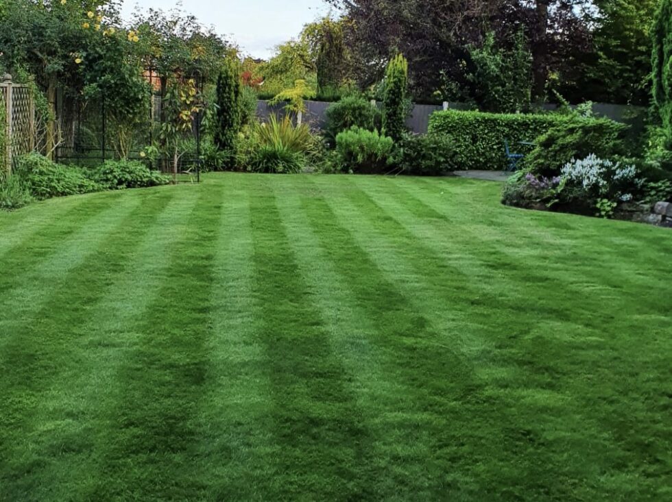 Contact Us for Lawn Treatment Services Runcorn Frodsham